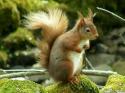 Self-catering holiday cottage - Eller Haw Cottage, Cotterdale, Hawes, North Yorkshire, Yorkshire Dales, England