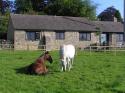 Self-catering holiday cottage - Daisy Bank, Maugersbury, Stow-on-the-Wold, Gloucestershire, Cotswolds, England