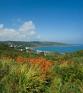 Self-catering holiday cottage - Higher Tregidden - Cob Cottage, St Martin-in-Meneage, Helston, Lizard Peninsula, South Cornwall, England