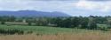 Photo of Little Wedderburn