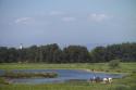 Self-catering holiday cottage - Lands of Turnberry, Turnberry, South Ayrshire, Scotland