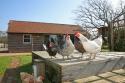 Self-catering holiday cottage - The Old Piggery, East Boldre, Hampshire, New Forest, England