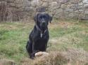 Self-catering holiday cottage - The Bolt Hole, Wonson, Throwleigh, Devon, Dartmoor, England