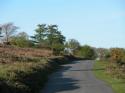 Self-catering holiday cottage - Fernhill Cottage, Ponsworthy, Newton Abbot, Devon, Dartmoor, England