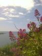 Self-catering holiday cottage - Rose Cottage, Newtown, Fowey, South Cornwall, England