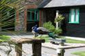 Self-catering holiday cottage - Treworgie Barton, St Gennys, Nr Bude, North Cornwall, England