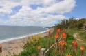 Self-catering holiday cottage - The Smithy , Gunwalloe, Lizard peninsula, South Cornwall, England