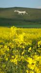 Self-catering holiday cottage - The Granary, Manningford Abbotts, Pewsey, Wiltshire, England