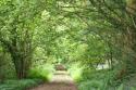 Self-catering holiday cottage - The Hide, Bridford, Nr Exeter, Devon, Dartmoor, England