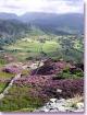 Self-catering holiday cottage - Tilberthwaite Farm Cottage, Tiberthwaite, Nr Coniston, Cumbria, Lake District, England