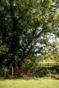 Self-catering holiday cottage - The Old Milking Parlour, Slapton, Kingsbridge, Devon, England