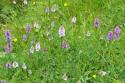 Self-catering holiday cottage - Mellfell Cottages, Watermillock, Penrith, Cumbria, Lake District, England