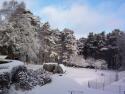 Self-catering holiday cottage - Kings Garn, Minstead, Nr Lyndhurst, Hampshire, New Forest, England