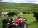 Self-catering holiday cottage - Auchencheyne Country House, Auchencheyne, Moniaive, Thornhill, Dumfries and Galloway, Scotland