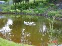 Self-catering holiday cottage - Strawberry Barn, Stogumber, Taunton, Nr Exmoor, Somerset, Exmoor, England