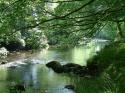 Self-catering holiday cottage - Clancy Cottage at Hallflat Farm, Santon Bridge, Wasdale, Cumbria, Lake District, England