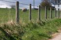 Photo of Townhead Farm Cottage