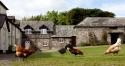 Self-catering holiday cottage in Simonsbath, Minehead, Devon, Exmoor (England)