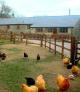 Self-catering holiday cottage in Whitwell, Nr Ventnor, Isle of Wight, England (South and South East England)
