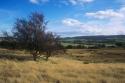 Self-catering holiday cottage - Dolgenau Hir (The Barn), Trefeglwys, Powys, Wales