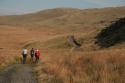 Self-catering holiday cottage - Lower Doglgenau (The Cottage), Trefeglwys, Powys, Wales