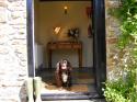 Self-catering holiday cottage in Tremaine, Launceston, Cornwall (England)