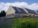 Self-catering holiday cottage in St Catherine's Valley, Nr Bath, Somerset (England)