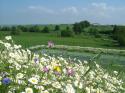 Self-catering holiday cottage - Cockle Kitty Cottage, Cliftonhill, Kelso, Scottish Borders, Scotland