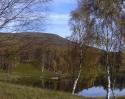 Self-catering holiday cottage - Marchburn Cottage, Glen Clova, Angus, Cairngorms, Scotland