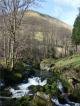 Self-catering holiday cottage - River Dyfi Cottage, Dolgellau, Dinas Mawddwy, Gwynedd, Snowdonia, Wales