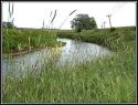 Self-catering holiday cottage - The Granary, Fordhead, Kippen, Stirling, Loch Lomond and Trossachs National Park, Scotland