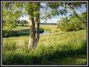 Self-catering holiday cottage - The Tool Shed, Fordhead, Kippen, Stirling, Loch Lomond and Trossachs National Park, Scotland