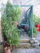 Self-catering holiday cottage - Brewhouse Cottage, Settle, North Yorkshire, Yorkshire Dales, England