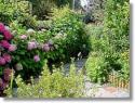 Self-catering holiday cottage - Horseshoe Cottage, Ludlow, Shropshire, England