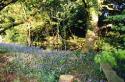 Self-catering holiday cottage - The Old Mine House, Sortridge, Nr Tavistock, Devon, Dartmoor, England