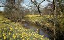 Self-catering holiday cottage - Surprise View Cottages & Field Barn Cottage, Farndale, Nr Hutton-le-Hole, North Yorkshire, North York Moors, England
