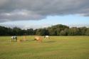 Self-catering holiday cottage - Crows Nest Cottage, Lyndhurst, Hampshire, New Forest, England