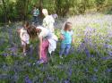 Self-catering holiday cottage - Jasmine Cottage, Upottery, Nr Honiton, Devon, England