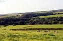 Self-catering holiday cottage - The Stables, Summercourt, Nr Truro, Cornwall, England