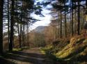Self-catering holiday cottage - Coll Cottage, Dykehead, Nr Loch Lomond, Stirling, Loch Lomond and Trossachs National Park, Scotland
