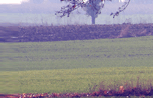 Self-catering holiday cottages in the UK
