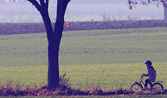 Self-catering holiday cottages in the UK