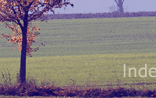 Self-catering holiday cottages in the UK