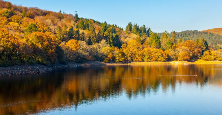 Burrator Reservoir