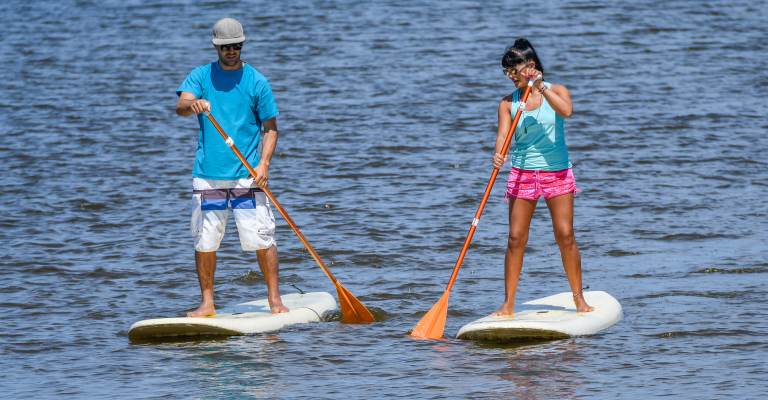 Paddle Board