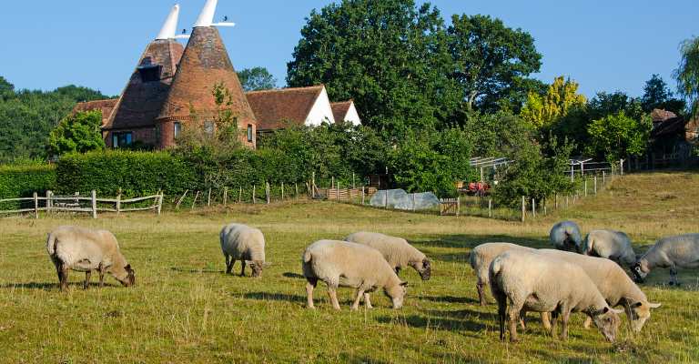 Oast Houses, Kent, England