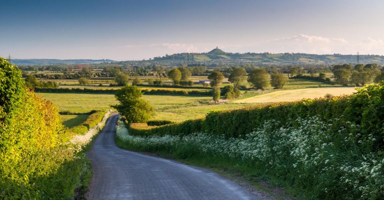 Country lane toward Glastonbury Tor, Somerset