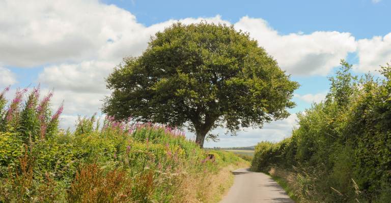Beautiful Exmoor National Park
