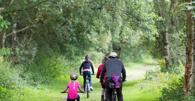 Mountain biking in the New Forest