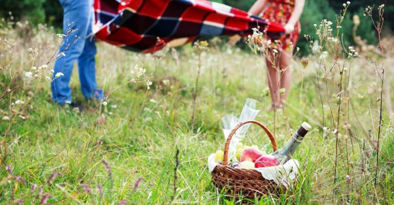 Picnic in the New Forest